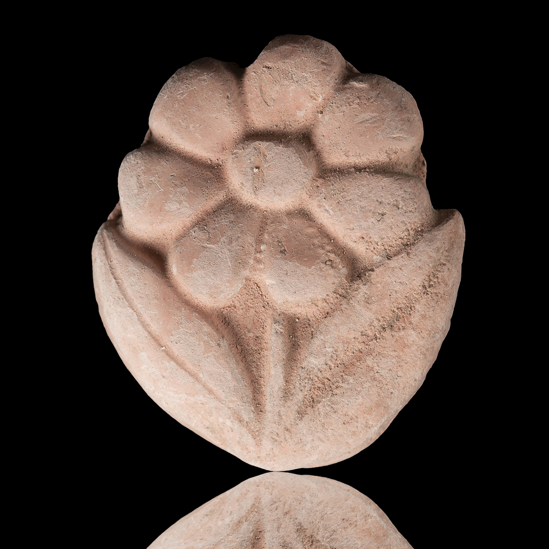 fancy-gallery-tabs-image