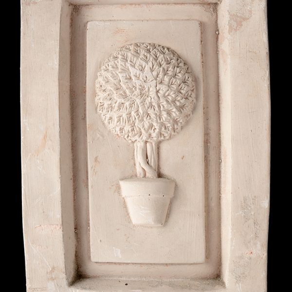 Cuadro Con Planta