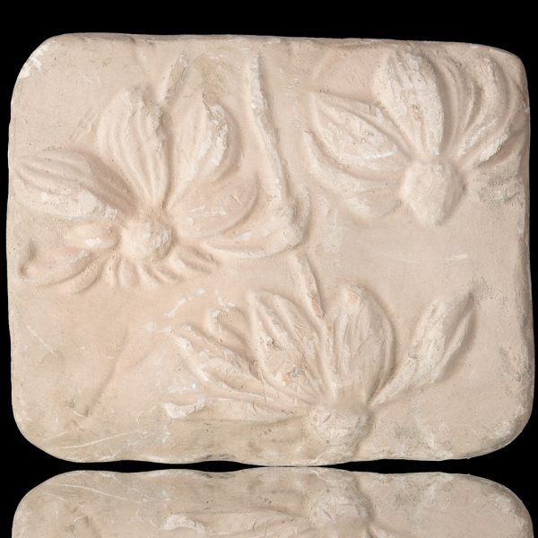 Cuadro de planta
