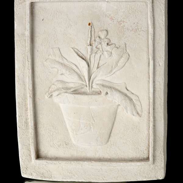 Cuadro Con Planta