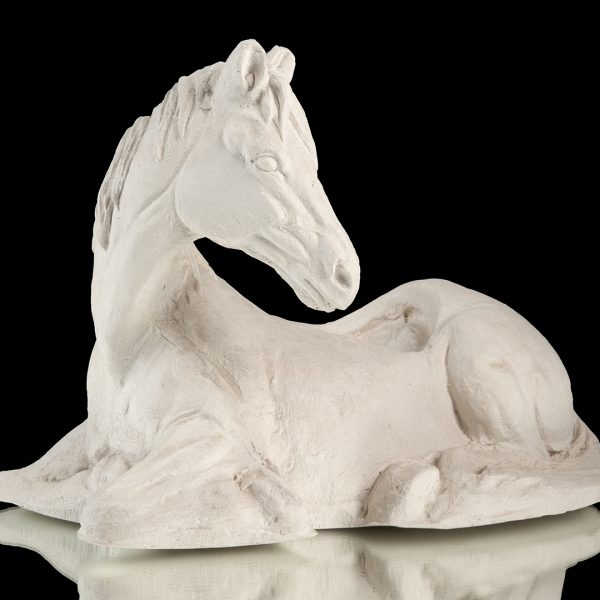 Caballo recostado