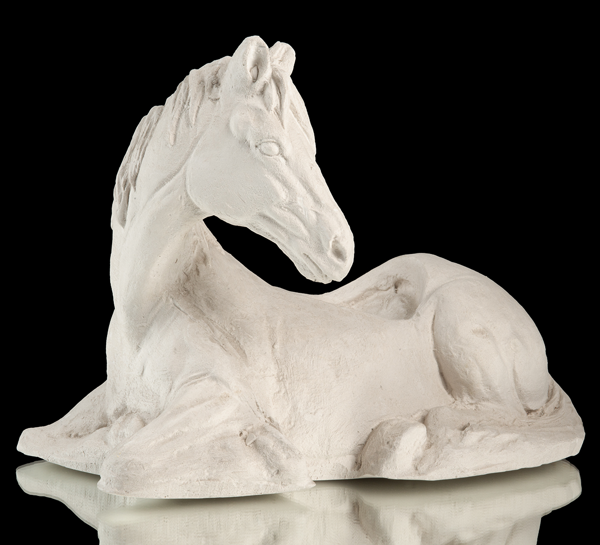 Caballo recostado