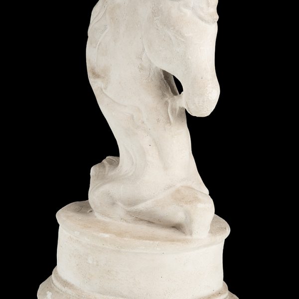 Cabeza de caballo