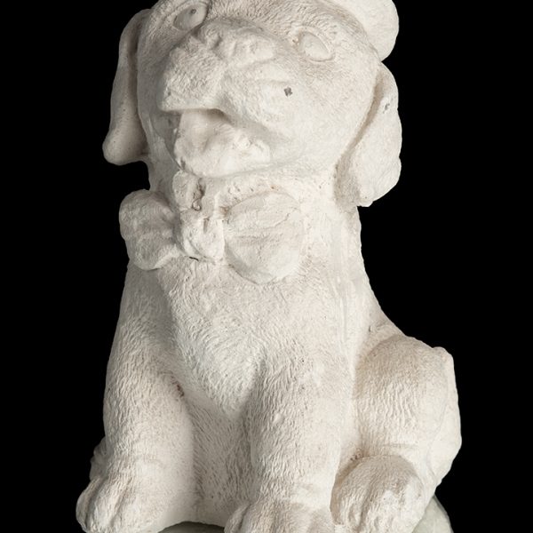 Perrito