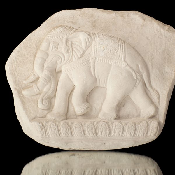 Elefante