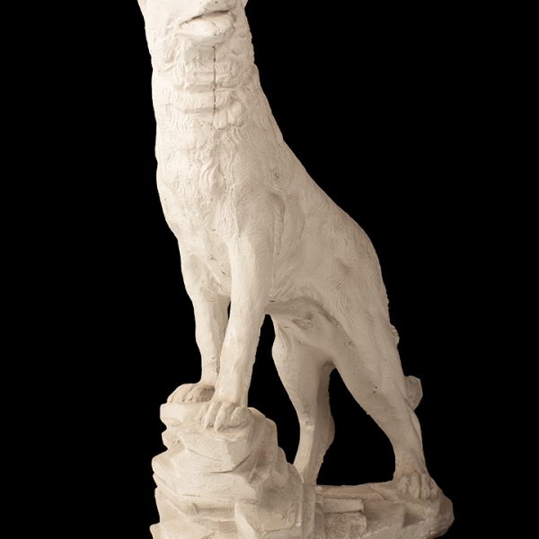 Lobo en plataforma