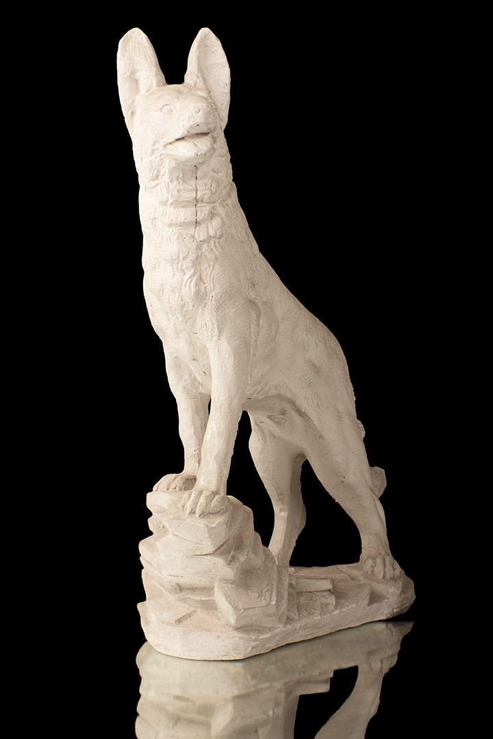 Lobo en plataforma