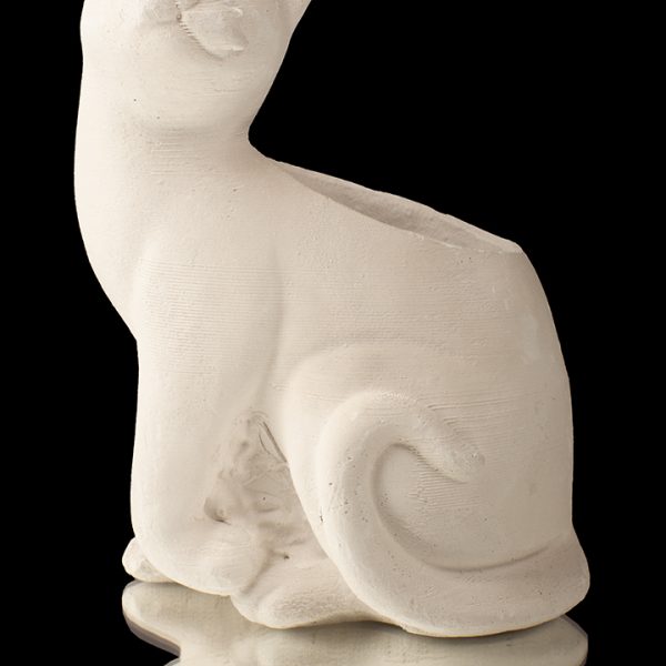 Gato