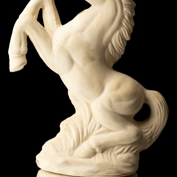Caballo de pie