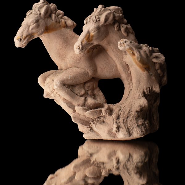 Caballos