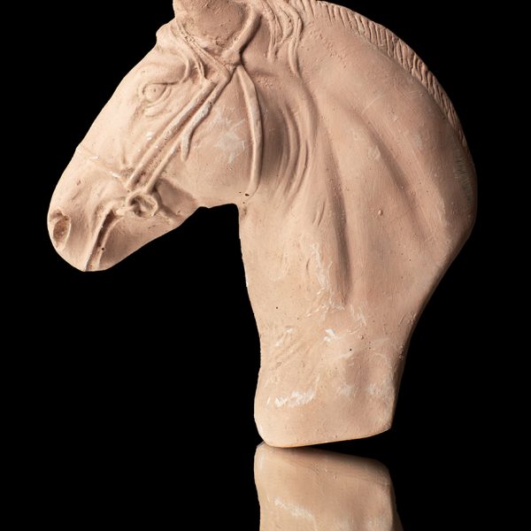 Cabeza de caballo