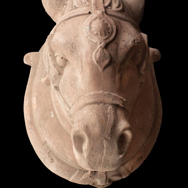 Cabeza de caballo