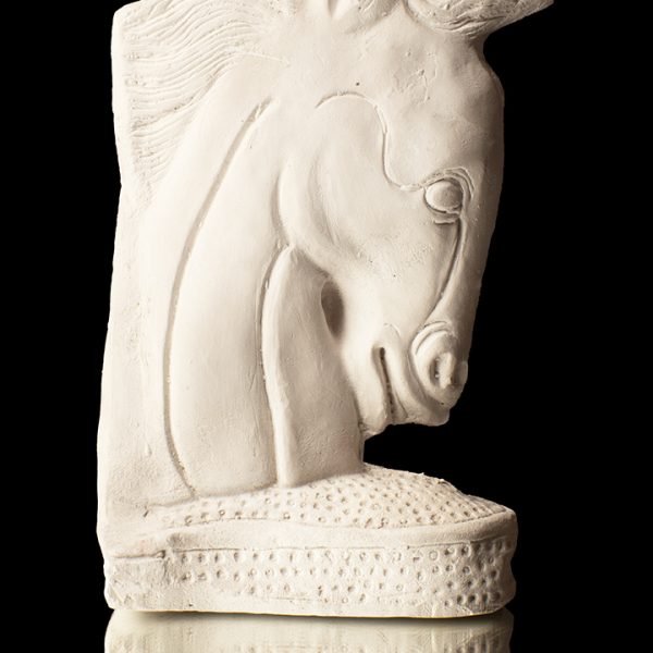 Cabeza de caballo