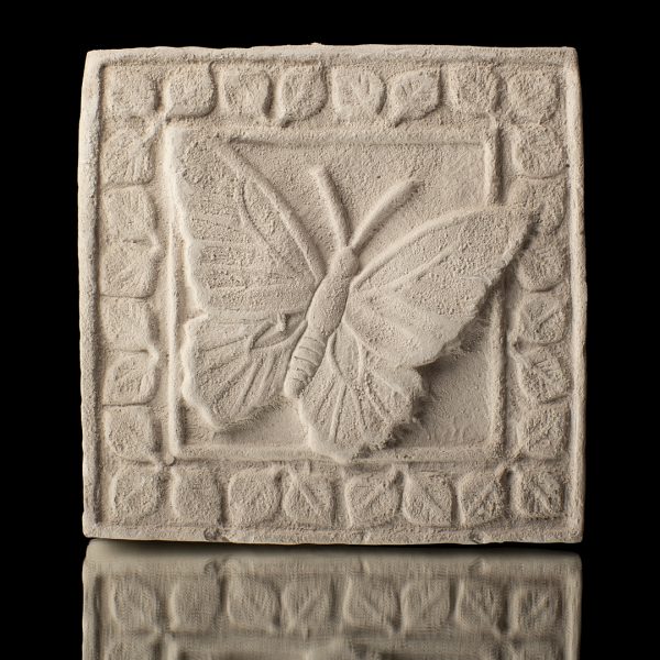 Cuadro de mariposa