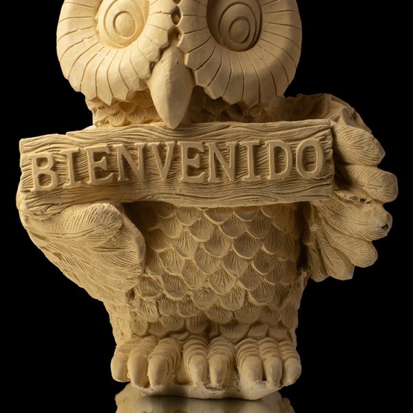 Búho bienvenidos