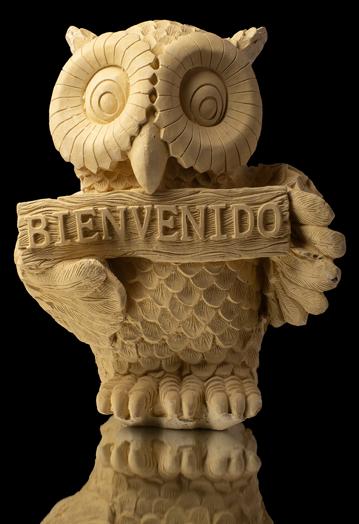 Búho bienvenidos