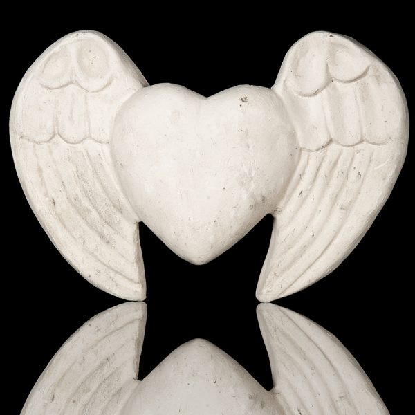 Corazón Con Alas