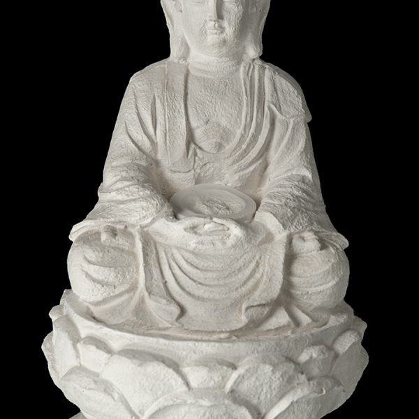Budas meditando en plataforma