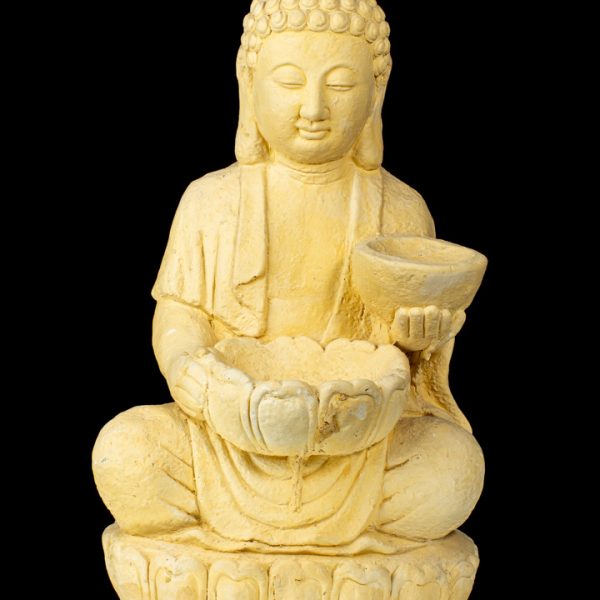 Budas meditando