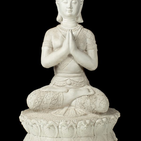 Budas meditando en plataforma