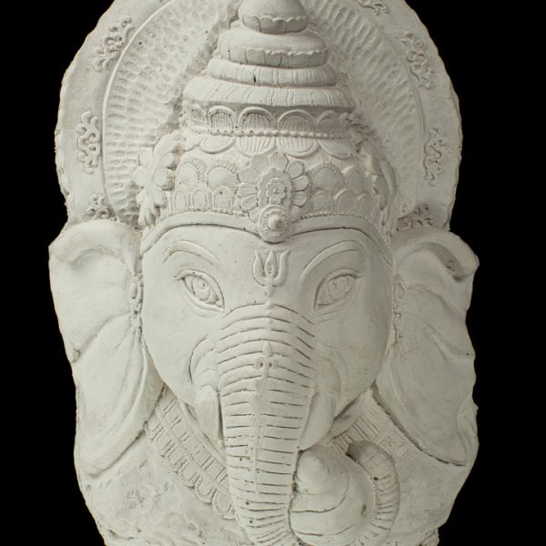 Cara de elefante 2d