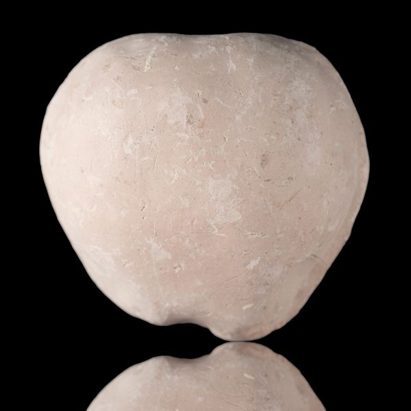 Manzana a la mitad