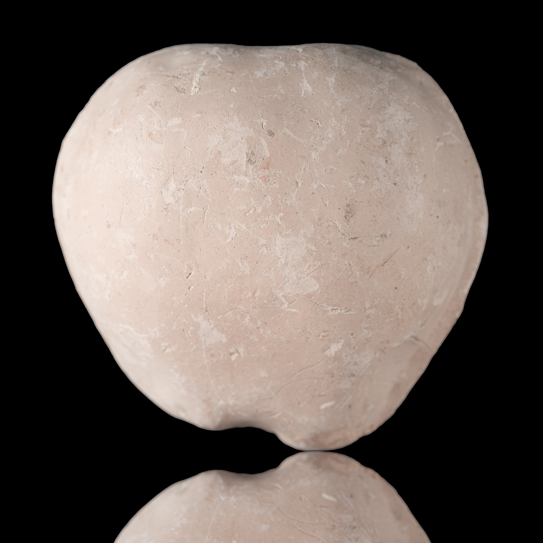Manzana a la mitad