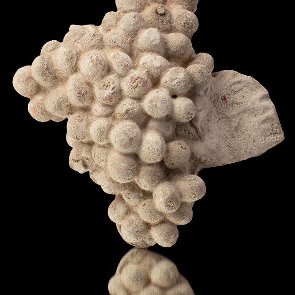 Racimo De Uvas