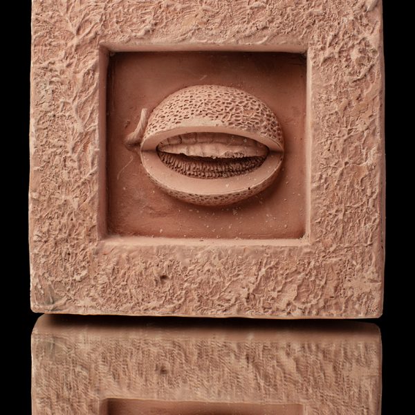 Cuadro de fruta