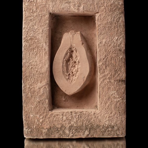 Cuadro de palta