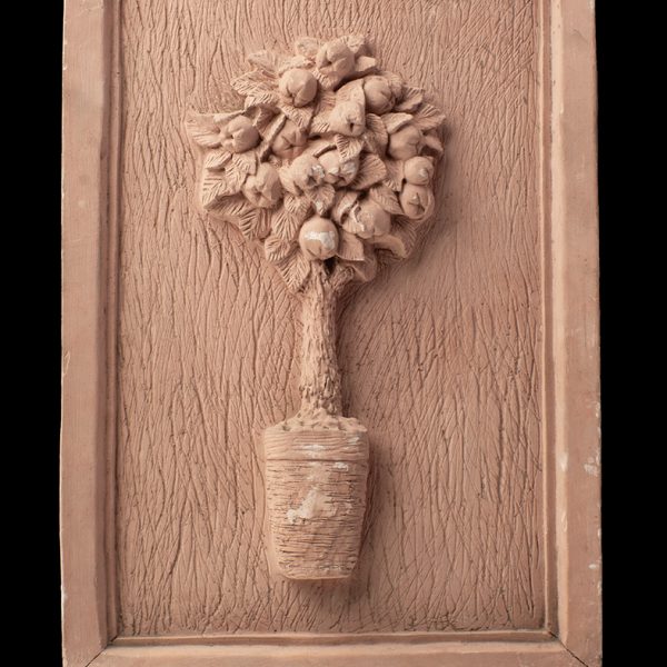 Cuadro de planta