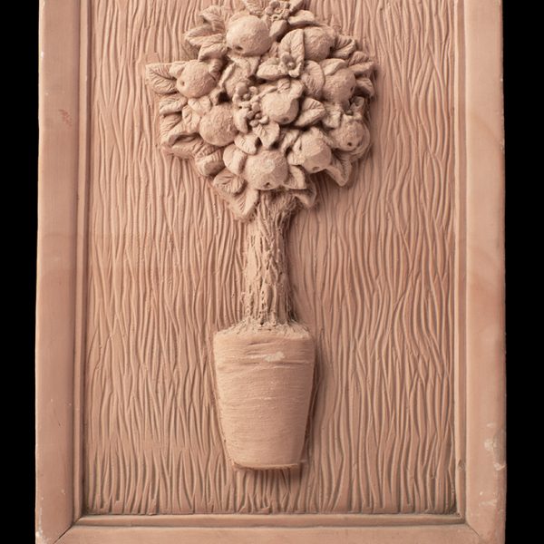 Cuadro planta de limones