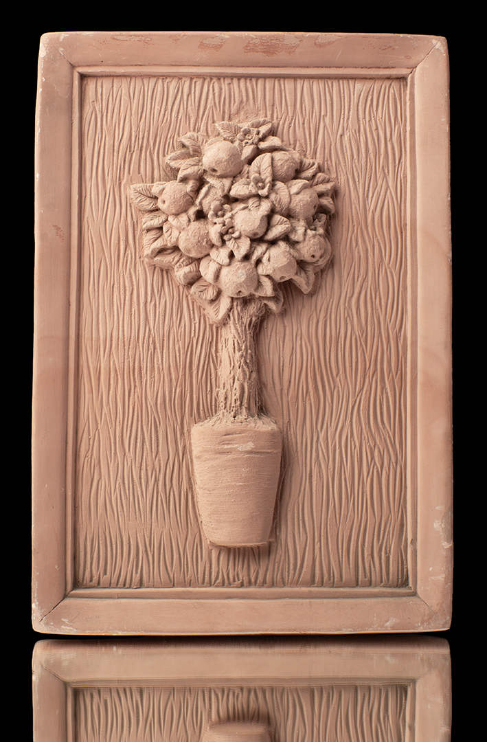 Cuadro planta de limones