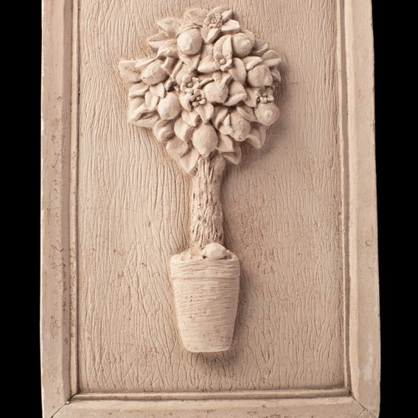Cuadro de planta