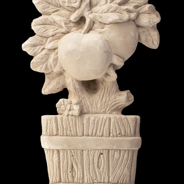 Planta De Manzana