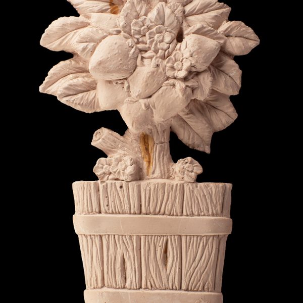 Planta Devrdura