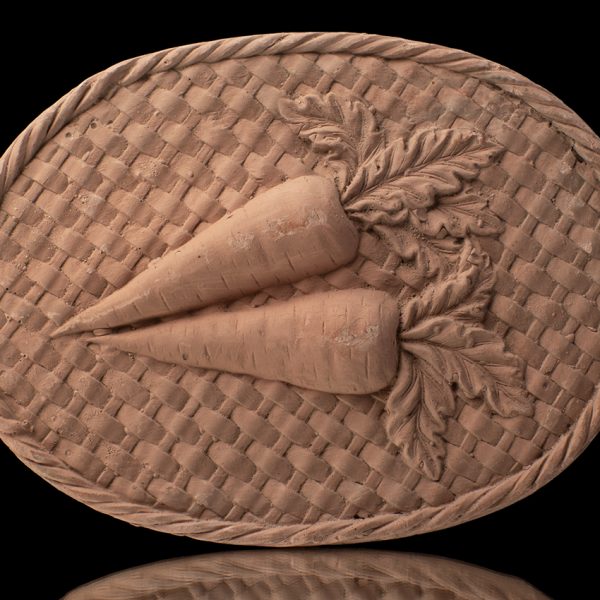 Cuadro de zanahorias