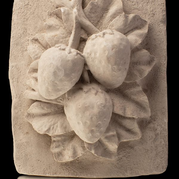 Cuadro de frutillas