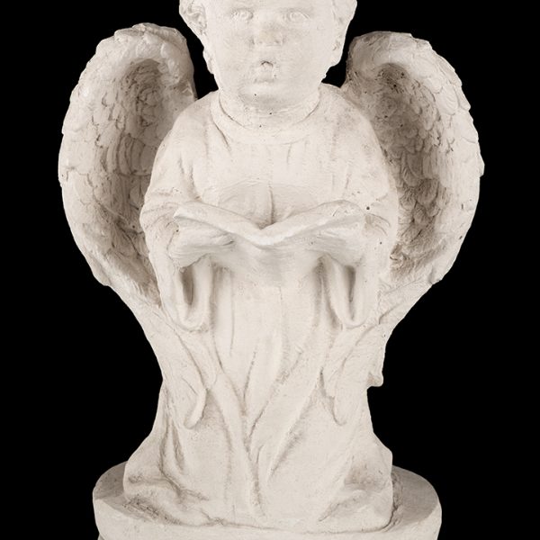 Ángel con biblia