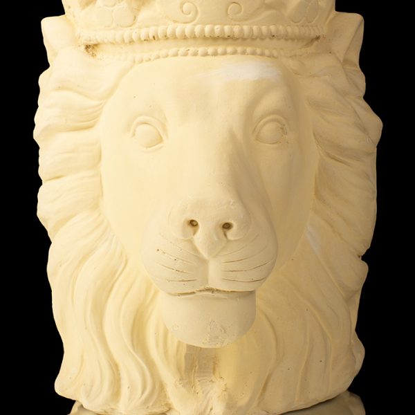 Cabeza rey león