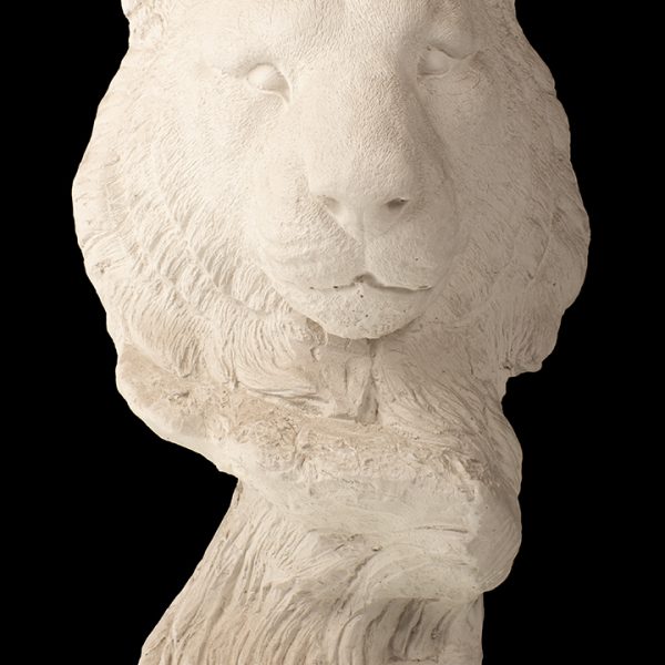 Cabeza de león