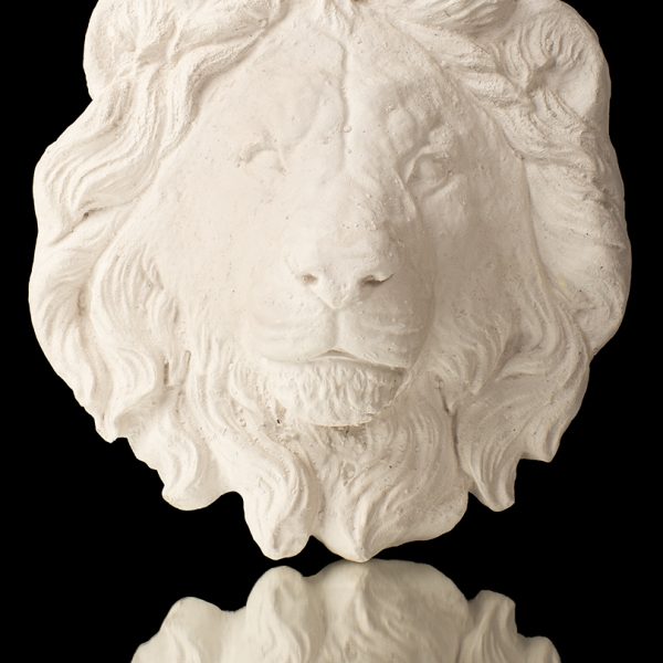 Cabeza de león