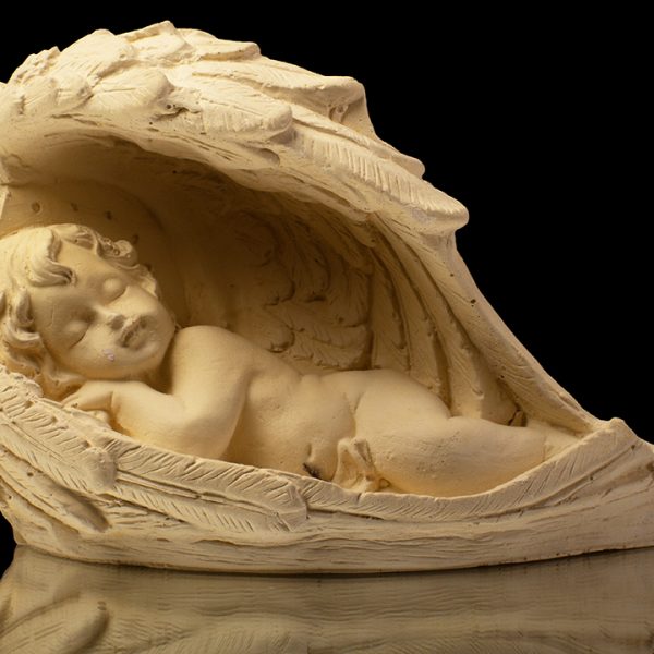 Angel Durmiendo En Sus Alas