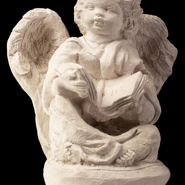 Angel Con Biblia